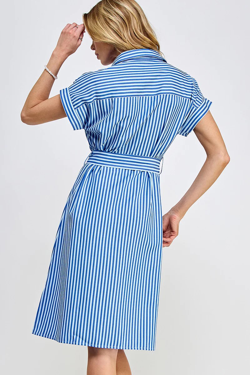 Striped Button Down Dress- Small